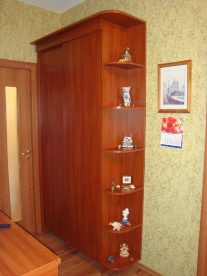 Продается книжный шкаф (район Славянка)