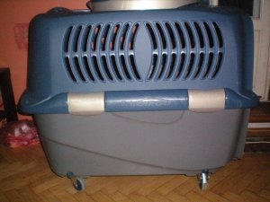 Продам контейнер для перевозки собак