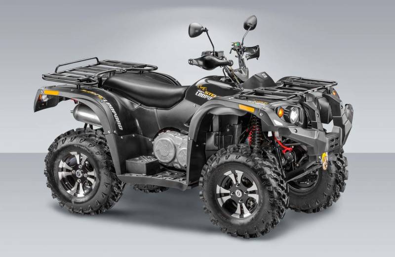 квадроцикл STELS ATV 600 Y Leopard