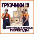 Перевозки.Услуги грузчиков. Сборка/разборка мебели