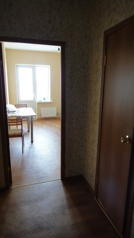 Сдам 1 ком квартиру в Детскосельском, ул. Центральная. 14